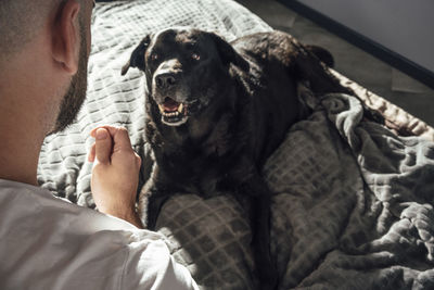 Pet dog looking at man gesturing while sitting on bed at home