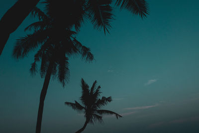 Low angle view of silhouette palm tree against clear sky