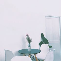 Potted plant on table against wall at home