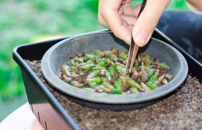 Cropped hand of person preparing food