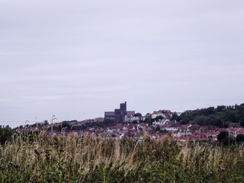 Plants growing on field by buildings against sky