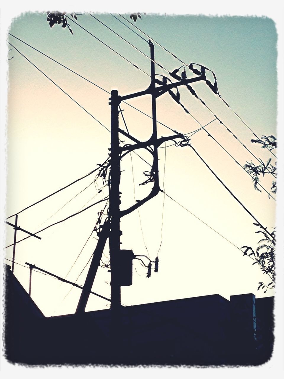 transfer print, power line, power supply, electricity pylon, low angle view, electricity, auto post production filter, fuel and power generation, cable, technology, connection, clear sky, sky, built structure, silhouette, power cable, building exterior, architecture, day, outdoors