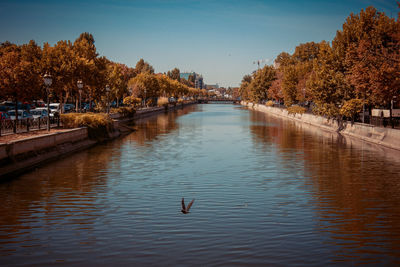 View of birds in lake