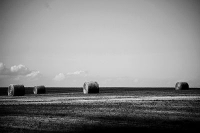 Scenic view of grassy field against sky