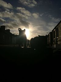 Silhouette of horse against sky during sunset