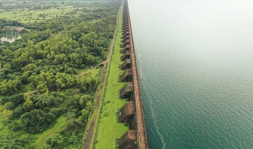 High angle view of road amidst trees in forest