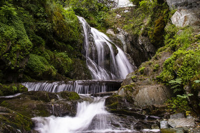 Scenic view of waterfall in forest