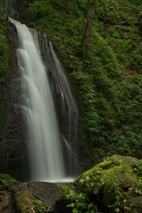 Scenic view of waterfall in forest