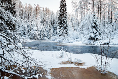 Scenic view of frozen lake during winter