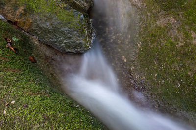 Scenic view of waterfall in forest