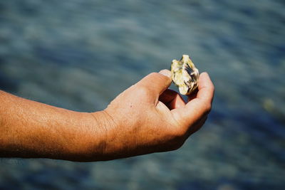 Cropped image of man holding sea shore
