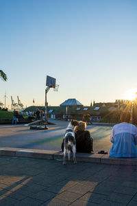 Dog standing on road against clear sky