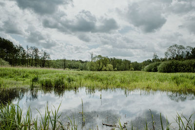 Scenic view of lake against sky