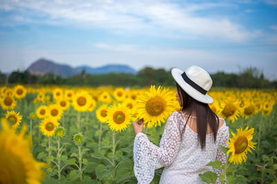 Sunflowers in field against cloudy sky