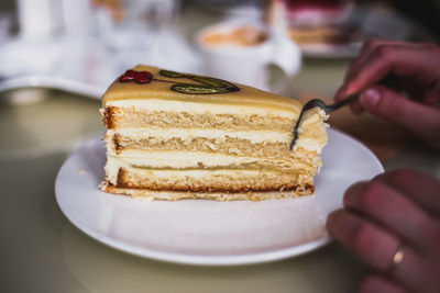 Close-up of hand holding cake slice in plate