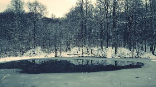 Bare trees on snow covered landscape against sky