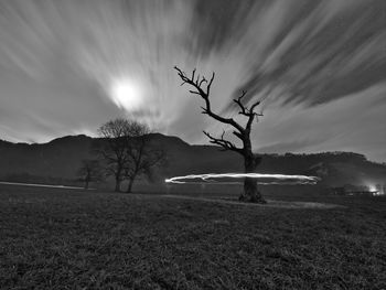 Bare tree on field against moonlit sky