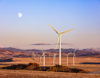 Wind turbines in a field with clear sky and moon