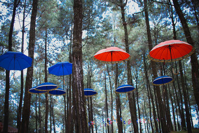 Low angle view of umbrellas and trees in forest