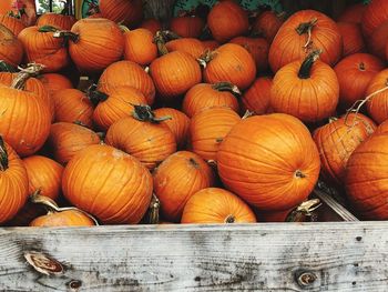 Pumpkins for sale at market stall