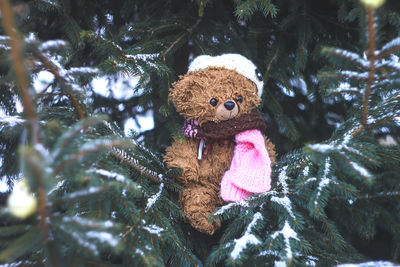 Cute toy bear in knitted scarf and cap on spruce tree