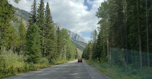 Road amidst trees against sky