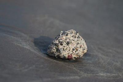 High angle view of rock on beach