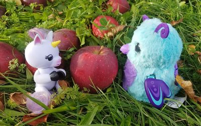 High angle view of multi colored eggs on grass