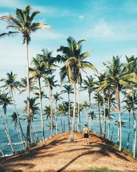 Palm trees on beach against sky
