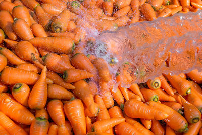 High angle view of water pouring on carrots