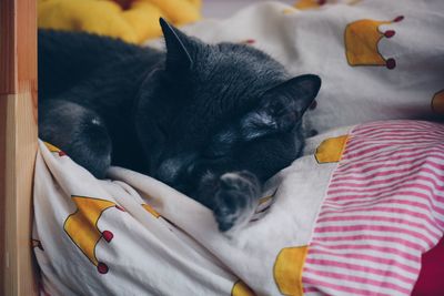 High angle view of black cat sleeping on bed