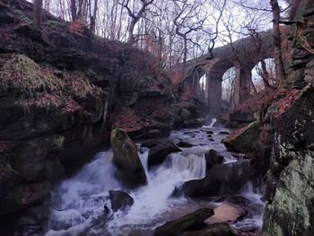 River flowing through forest