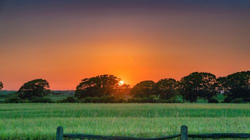 Scenic view of field against orange sky