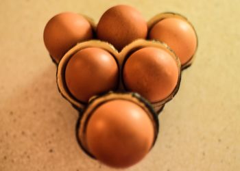 Close-up of eggs