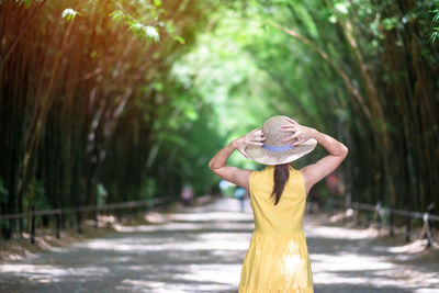 Rear view of woman standing in forest