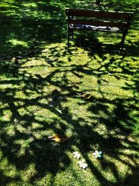 Shadow of tree in park