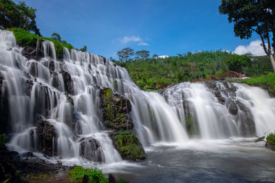 Scenic view of waterfall in forest