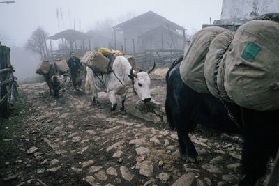 Panoramic view of people on street amidst buildings