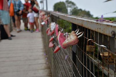 Close-up of fish hanging on railing