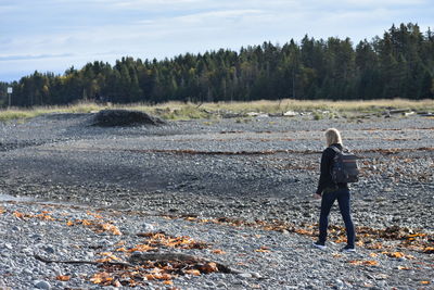 Rear view of person standing on land against sky