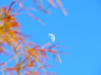 Low angle view of blue sky