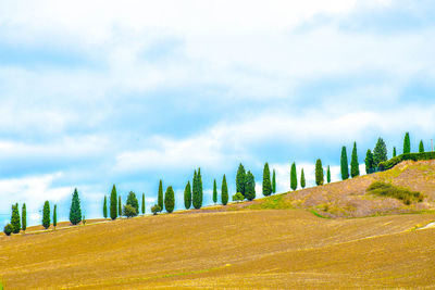 Panoramic view of landscape against sky