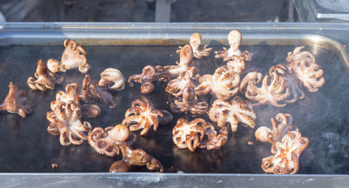 Close-up of sea food on barbecue grill