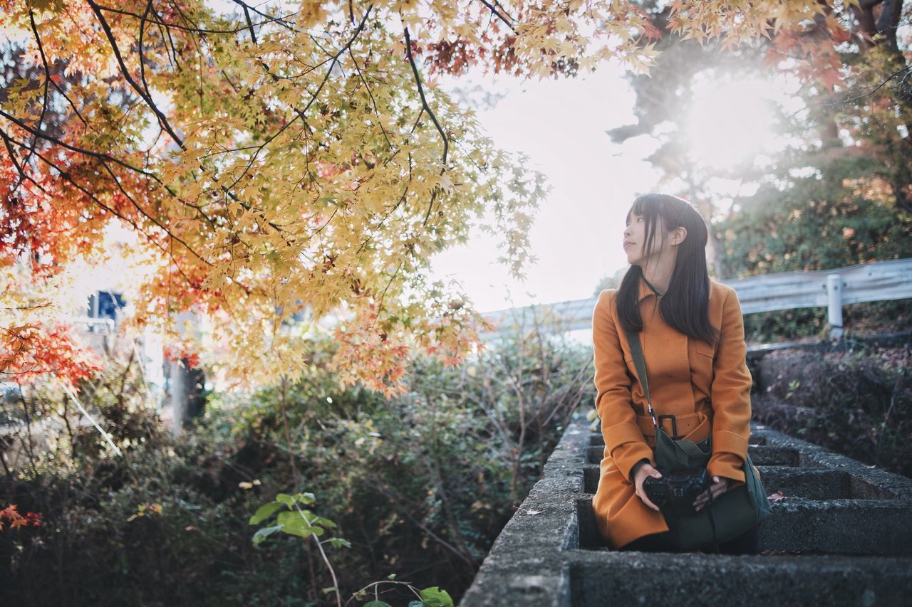 tree, real people, plant, young adult, one person, lifestyles, leisure activity, nature, autumn, front view, sitting, change, casual clothing, day, young women, winter, portrait, looking at camera, women, outdoors, warm clothing, contemplation, beautiful woman