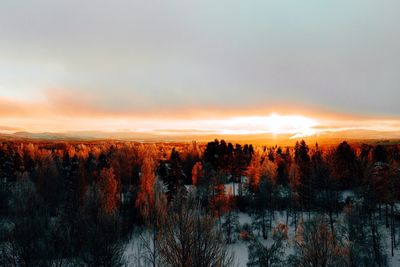 Scenic view of trees against sky during sunset