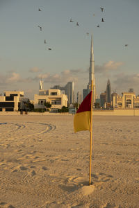 Seagull flying over beach