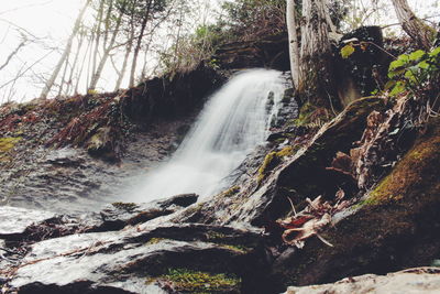 River flowing through rocks