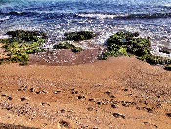 Scenic view of sea