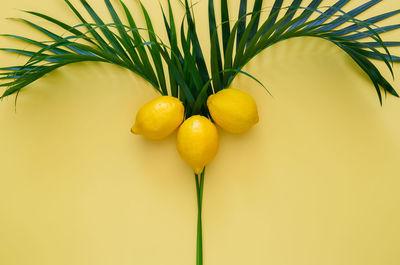 Lemons on coconut tree on yellow background. minimal summer concept.