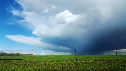 Scenic view of field against sky